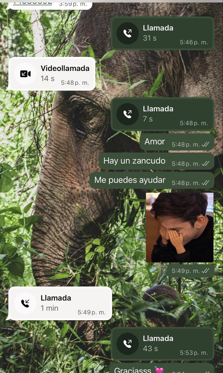 todo1mal's tweet photo. Nosotros con un piso de diferencia. https://t.co/E7Liyeo7hR