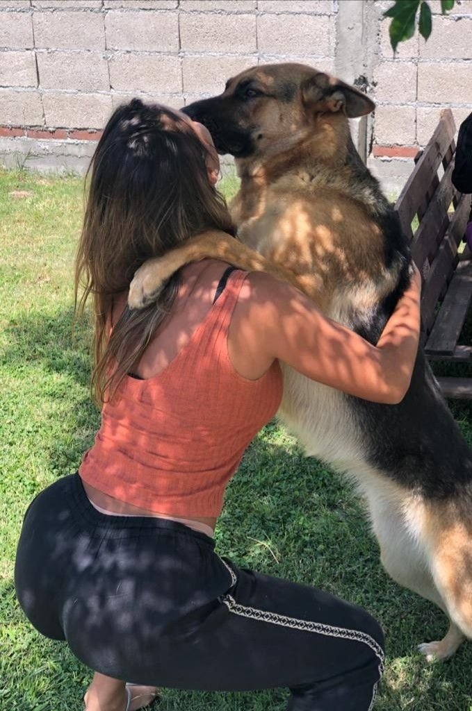 Canibalcupcakee's tweet photo. Side by side, we're creating memories filled with smiles, love, and endless adventures 🐕❤️ Follow our story for more wholesome content

https://t.co/xHlLkOKUJn https://t.co/vWssloP0ZF