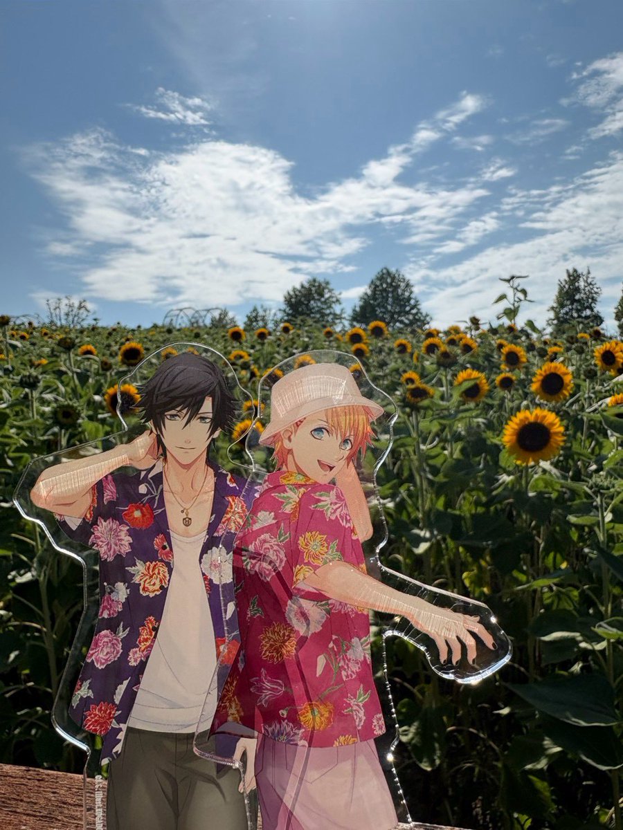 onewppe's tweet photo. おめでとう💜 https://t.co/eboORIrfDN