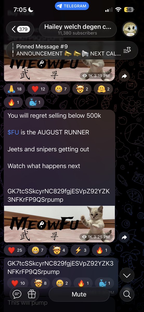 _Cxrreamso_'s tweet photo. @hailey_cryptoo Do not trust her hyped up a coin for 3-4 days and as soon as everyone bought she rugged it. do not trust calls from this person as they are genuinely rugs #CryptoMarket #memecoins https://t.co/OdjZ9Ev8Sx