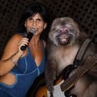 Mahh_26's tweet photo. palavras que encantam:

1. égera
2. pecora
3. parmesã
4. cípora
5. vulgivaga
6. cânfora 
7. zímora
8. épene
9. penétrene
10. sândala
11. súcuba
12. úmara
13. âmara
14. éfese
15. amálgama https://t.co/4ydjCxFz59