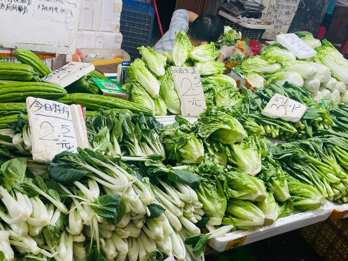 meumumbeb275471's tweet photo. 今日份鲜采上线！带泥胡萝卜脆嫩甘甜、现摘小青菜带着晨露，都是菜市场刚搬来的头茬货，搭配点肋排炖或清炒都香，想吃的宝子们冲！ https://t.co/QSpi1iMs5Y