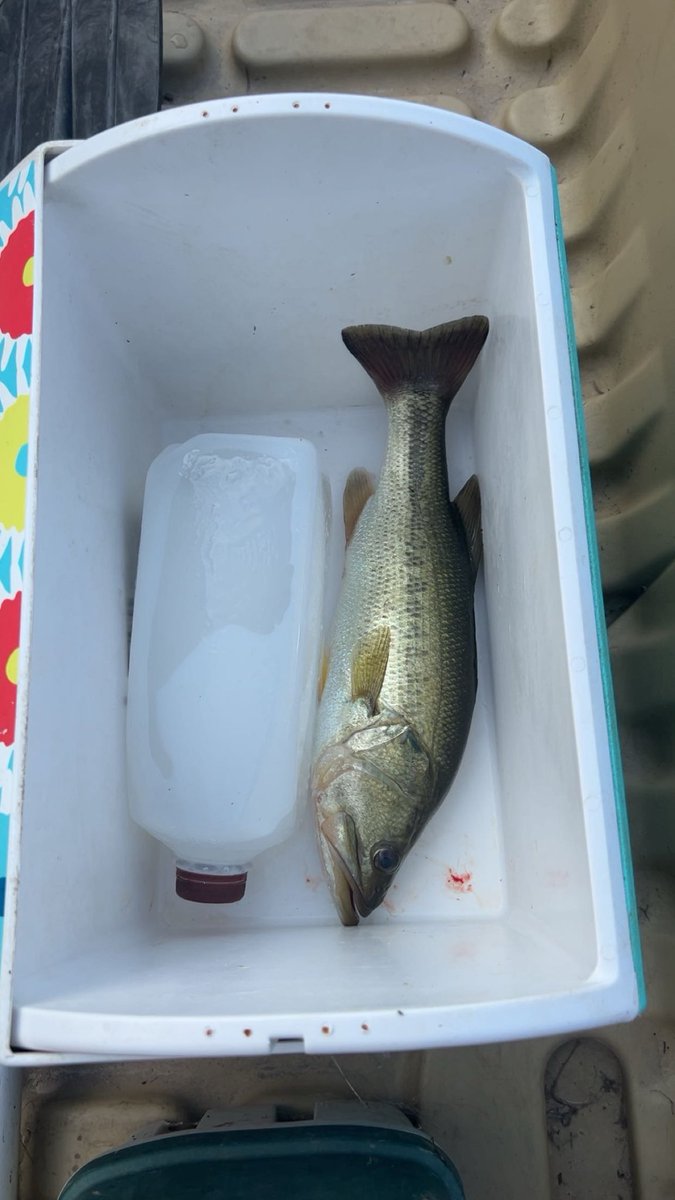 G_Low14's tweet photo. Bad day of fishing 😂 https://t.co/JlmKdX6kQy