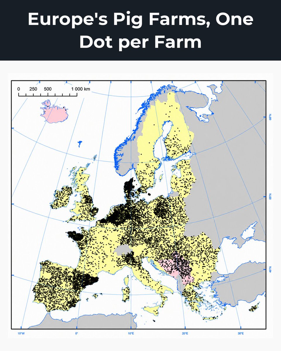 amazingmap tweet picture