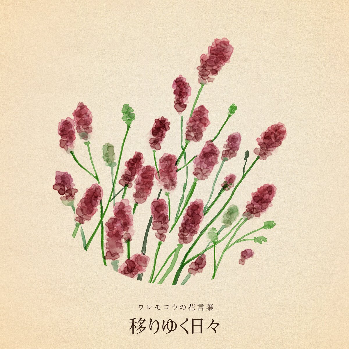 hanacotoba_jp's tweet photo. きょう8月25日は
川柳発祥の日
東京国際空港開港記念日
チキンラーメン誕生の日
即席ラーメン記念日
パラスポーツの日
サマークリスマス

誕生花はワレモコウ
花言葉「移りゆく日々」 https://t.co/H8plZXnYgA
