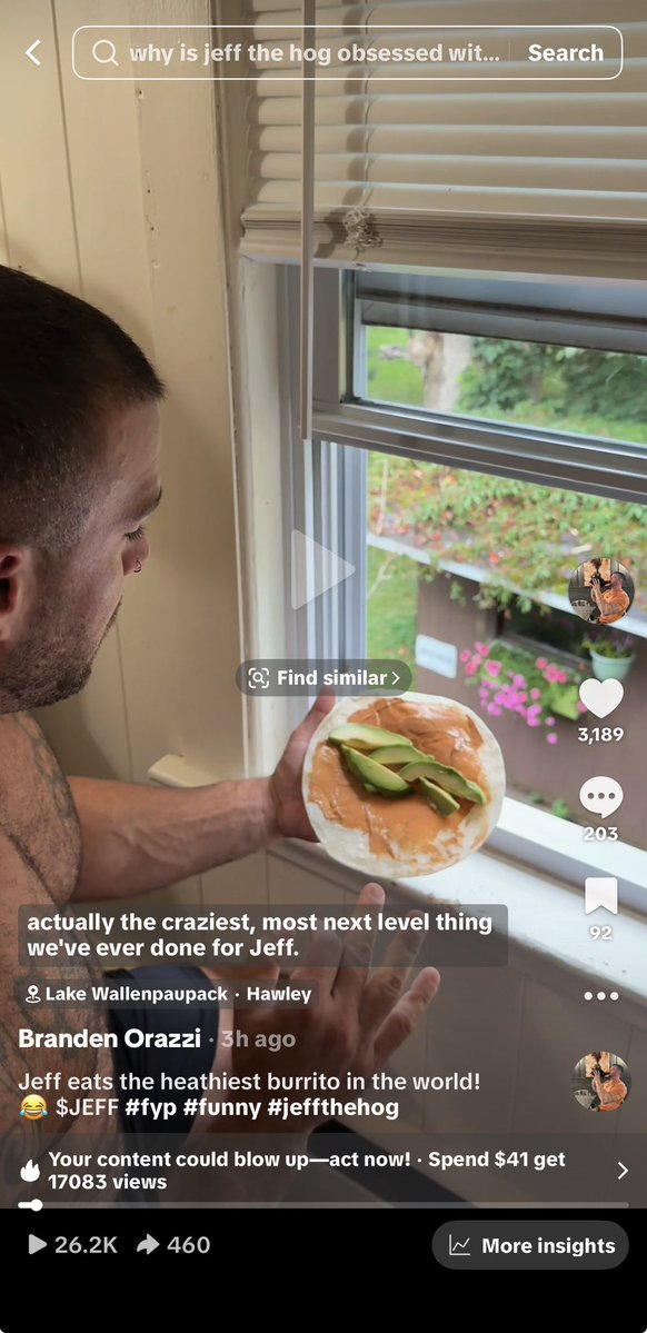JeffDaHog's tweet photo. 26,000 views so far! $JEFF is going crazy on TikTok! https://t.co/GtJus8lVFI