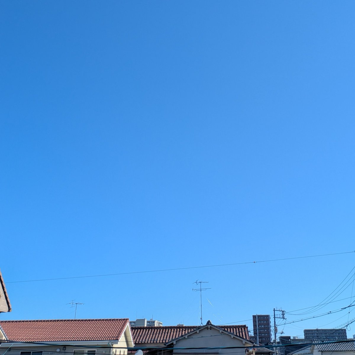 imamura_16's tweet photo. 1945年8月6日8時15分
原爆投下から81回目の朝

広島市内は今日も快晴です
毎年この朝に空をみて、蝉の声をきくと心がギュッと締め付けられます

「安らかに眠って下さい 過ちは繰返しませぬから」

黙とう

心から安らかなお眠りをお祈りいたします https://t.co/EeDyVJHDtF