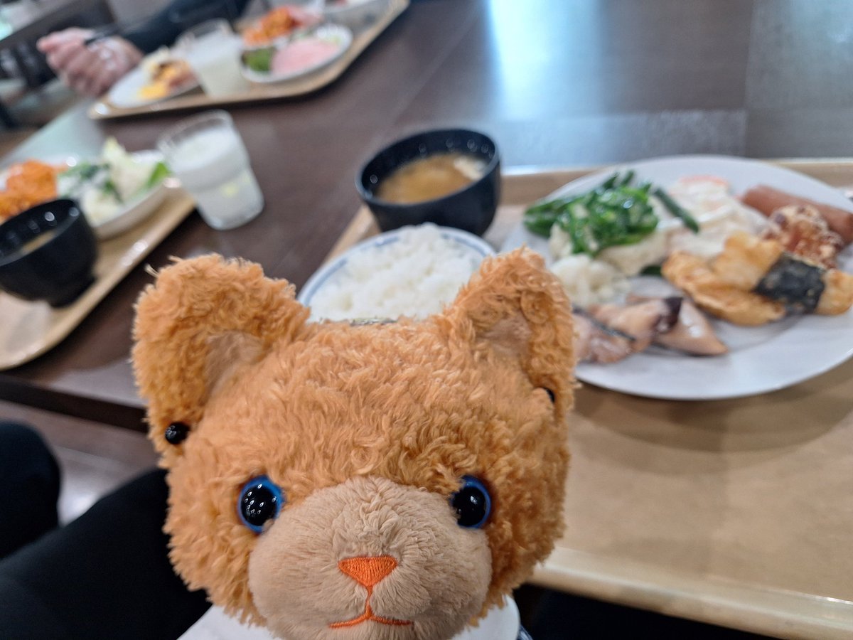 zero329_425's tweet photo. 野菜めっちゃ取った🥦
折り返しまできたので今日も頑張る https://t.co/VaaA7wgbNX