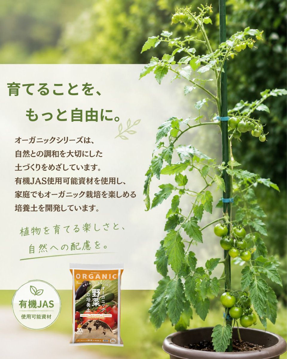 setogaharakaen's tweet photo. 🌱オーガニックという、ひとつの選択。

家庭園芸でもオーガニック栽培を楽しんでいただけるよう開発した、瀬戸ヶ原花苑のオーガニックシリーズ。

有機JAS使用可能資材を使用し、自然との調和を大切にした土づくりを目指しています。

#瀬戸ヶ原花苑 #オーガニック #家庭菜園 #ガーデニング https://t.co/PruNNc9Wqq