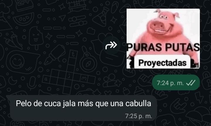 mari_vi09's tweet photo. no todo se perdió en alejandría https://t.co/3CATEyhCqx