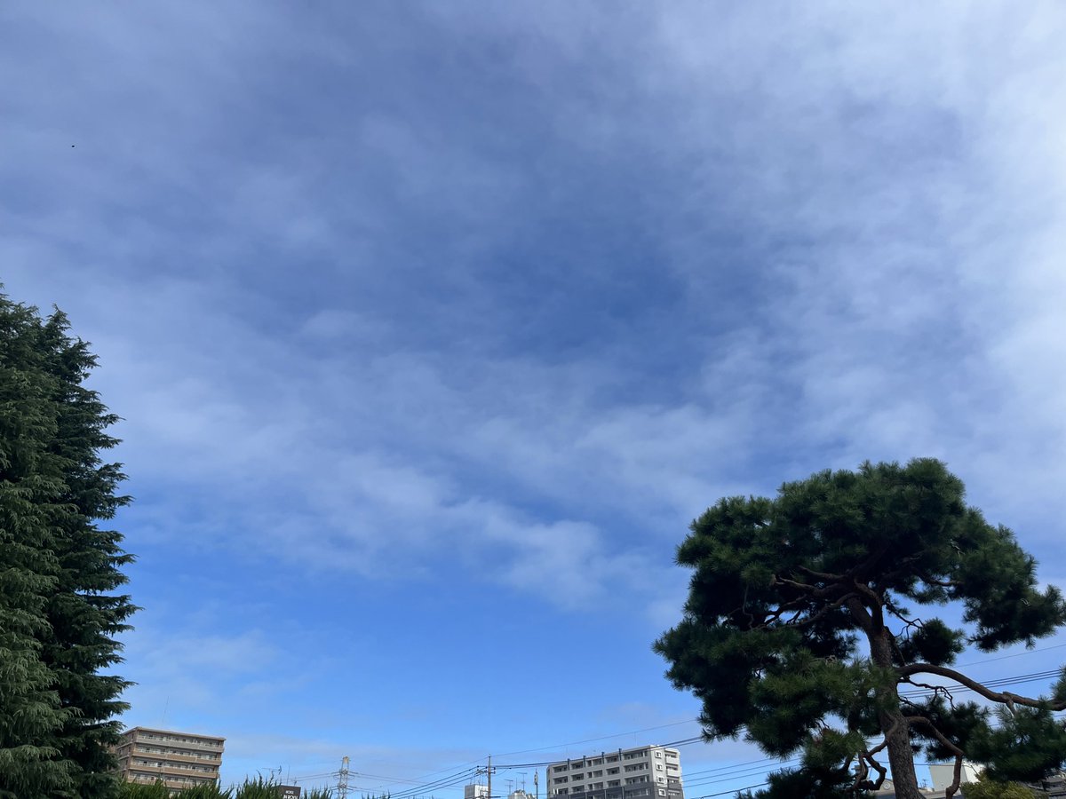 smasuda1's tweet photo. #今日の空 
今日は晴 https://t.co/HF3ycHtHPP
