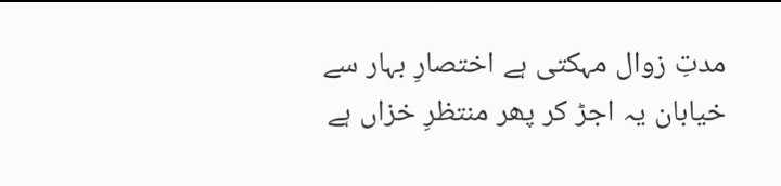 Aaila_S's tweet photo. https://t.co/ZdZMPRJdXf