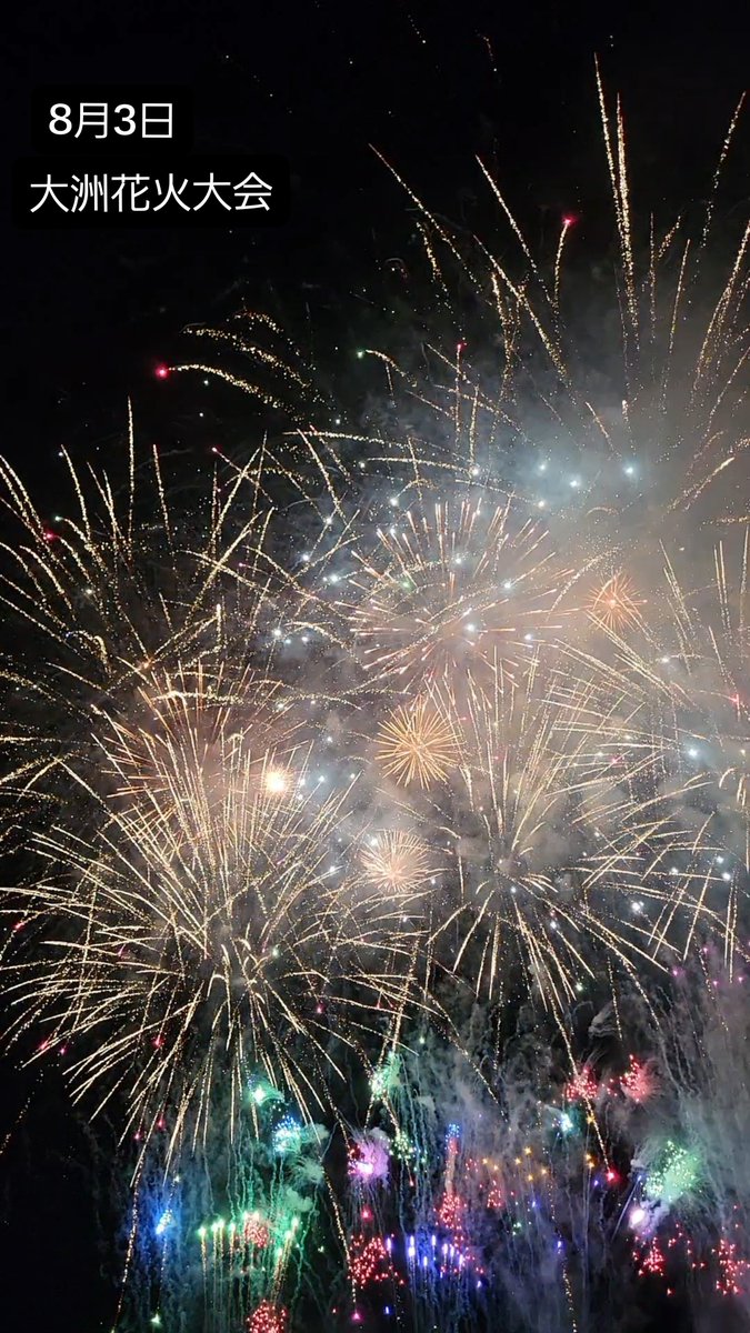 opeposan53's tweet photo. 爆速で仕事終わらせて、今年も大洲花火大会間近で見れた🎆
帰り下道で帰ってたらイノシシ2体🐗、タヌキ？イタチ？3体横たわってた👼
イノシシは結構おっきかっなぁ https://t.co/JkKWQ10966