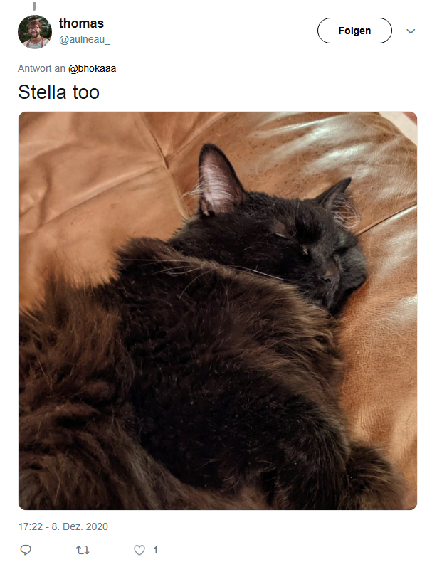 Stella_unicat's tweet photo. $STELLA engraved in @Uniswap history forever. The official feline representative of Uniswap is live on Robinhood chain, launched through @TradePools. 

0x1205104faa5C91C8EFB8aE42d414F80db51f65e7 https://t.co/ItZ56L6kDC