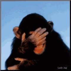 expertac53's tweet photo. @elreverendovene 😂👍🤣🤣🤣
Ohhhhh what is this ???? https://t.co/0sGf99up0I
