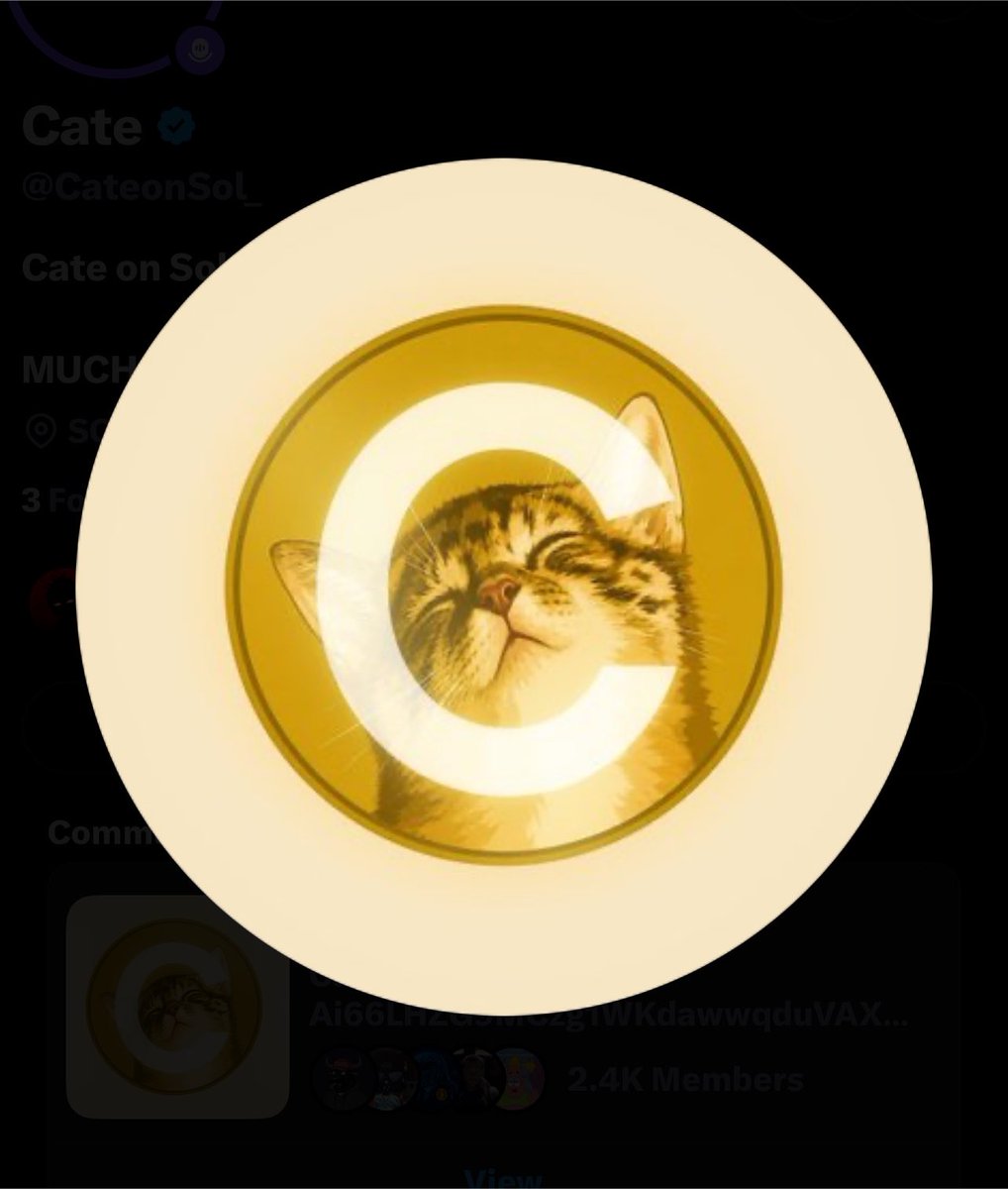 AangOnWeb's tweet photo. Bullish on $CATE boys!!
Eat the dip!

Ai66LHZG9MCzg1WKdawwqduVAXpNDUuV8M3uyq5ppump https://t.co/1N6VuU9aM1