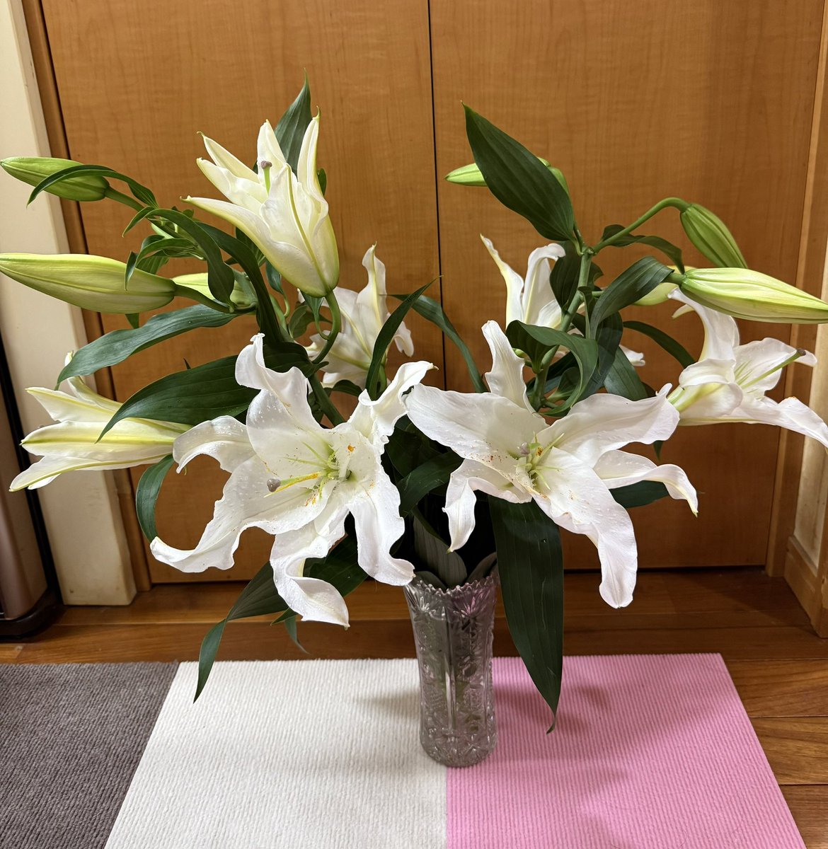 MT_rushi's tweet photo. おはようございます♪
今日8/6は三男犬…福ちゃんの
月命日です。
8日は次男犬☘️9日は長男犬🍀の
月命日になるので…
今回はちょい豪華？なカサブランカ💐
もちろんプリン🍮もね😋
三兄弟とも…我が家族をいつも
守ってくれて、ありがとう✨
#愛犬 #月命日 https://t.co/RBxHqnYWmz