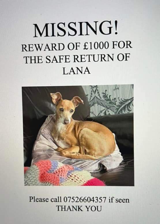 MissingPetsGB's tweet photo. #Southlanarkshire #Scotland

Four years ago today Lana was on her normal walk when she vanished. Lana is still #missing and her family are still looking for her

She could be anywhere by now so please keep eyes open and report anything that might bring her home https://t.co/SlpsK4DrB0