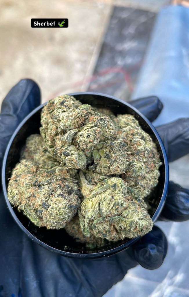 EVAuthoHub's tweet photo. Weed plug in Morecambe, Weed plug in Barrow-in-Furness, Weed plug in Whitehaven, Weed plug in Workington, Weed plug in Keswick, Weed plug in Windermere, Weed plug in Ambleside, Weed plug in Bowness-on-Windermere, Weed plug in Grasmere, #Panamá #furry https://t.co/TNQcMtCpS6