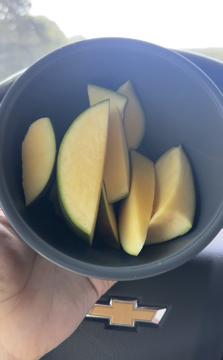ngaidi1's tweet photo. Who needs coffee?
😂A green mango while driving
does the job. Sour, crunchy, and keeps sleep away!🥭 https://t.co/XJcDWeaJ4S