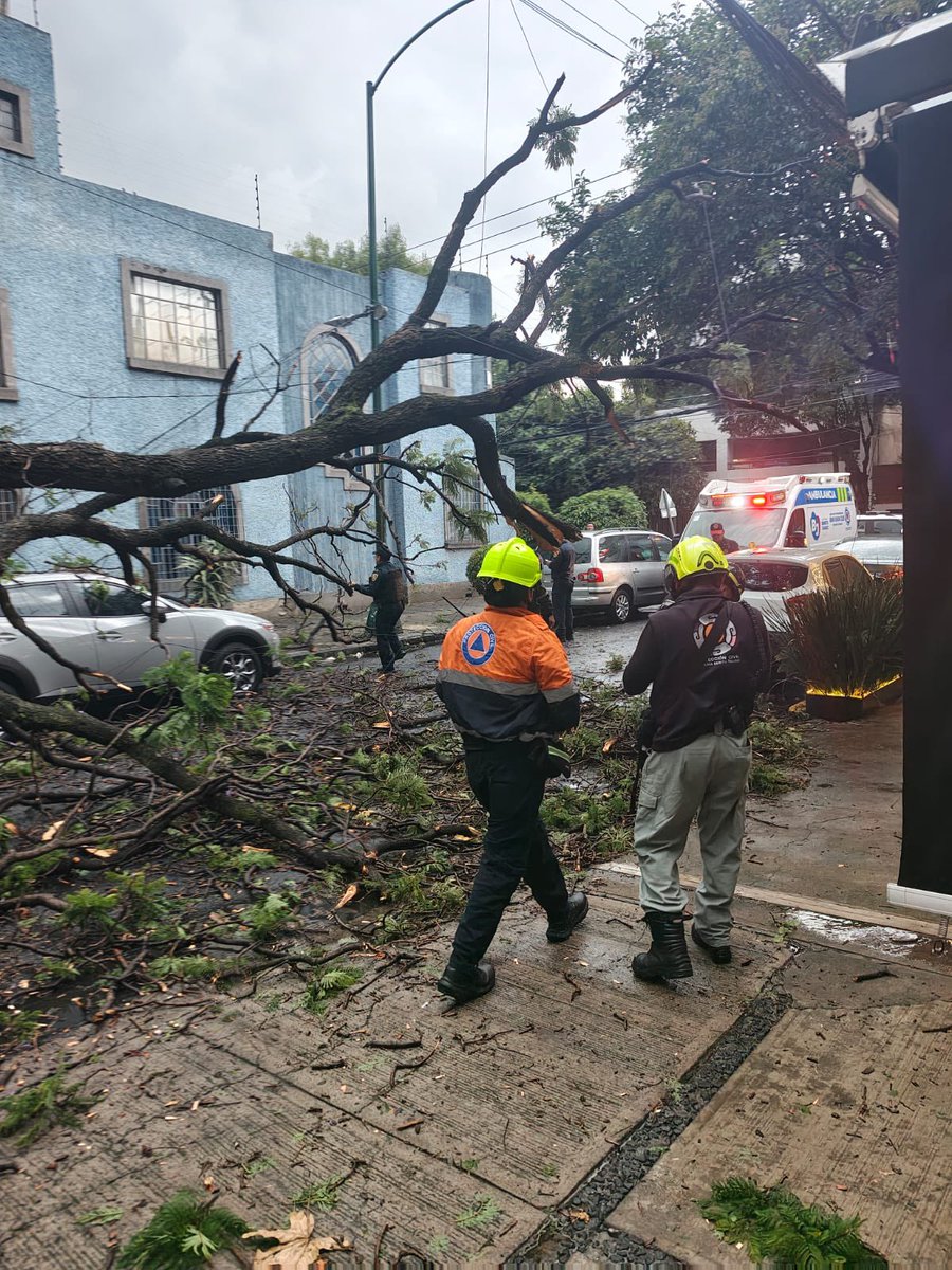 BlindarBJ's tweet photo. Personal de #ProtecciónCivil360 atiende la caída de un árbol en el cruce de Concepción Beistegui y Cerrada Eugenia, colonia Del Valle Centro.
Te recomendamos evitar la zona y seguir las indicaciones del personal. 🚧 https://t.co/9aQbIWCCmP