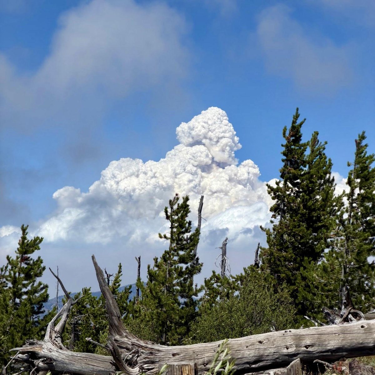 NWS_IMET_OPS's tweet photo. . @NWSAmarillo IMET en route to #LittleGiantFire near Leavenworth, WA #WAwx #WAfires @NWSSpokane @OkaWenNF https://t.co/0xH872oeCT Photo courtesy @inciweb https://t.co/ml7agF3ccy