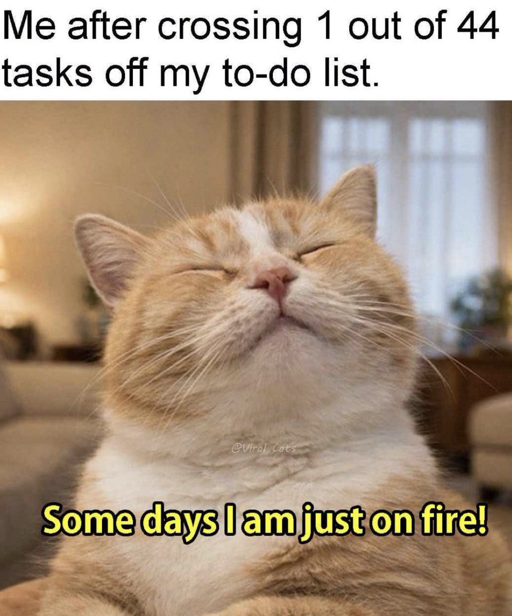 cattribunal's tweet photo. https://t.co/B87qj8YUtt