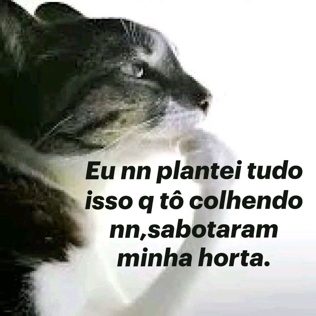 uma_p_aleatoria's tweet photo. https://t.co/N3Rm7tvApt