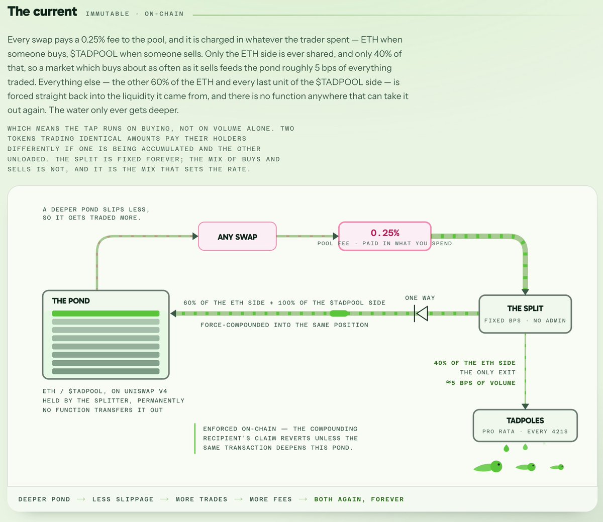 TadpoolTogether's tweet photo. Tadpools might have to be the involuntary educational project, representative of https://t.co/DQWNC3aYAh

No @FarmerBrownDeFi  Thats misunderstood:

- 80% of the fees goes to auto-compounding liquidity
- 20% of the fees goes to the creator fee receipient (in our case all holders) https://t.co/YKol7dWG1l