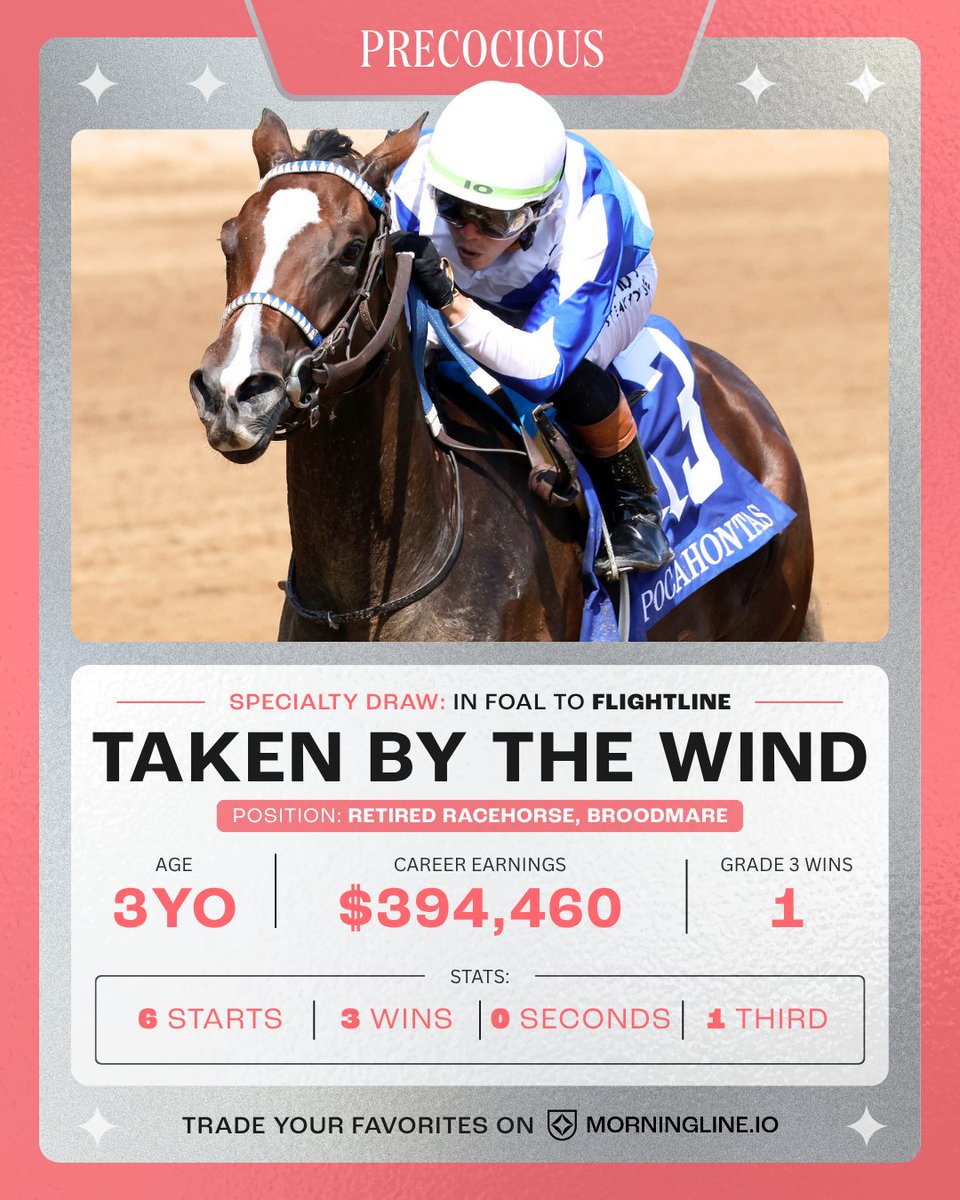 morninglineio's tweet photo. If https://t.co/sDwO6aKxLU horses had trading cards. 🪪 https://t.co/AZz0buwbaN
