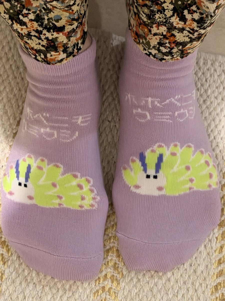 EuseElm's tweet photo. 最近の朝は、駅まで歩きながら
ベーグル🥯もぐもぐ( ˙*˙ )𐤔𐤔𐤔
そして今日の足元は……
例のウミウシ🧦🤣🤣🤣
履いたら思った以上にかわいかった😂💜
今日もいってきまーす🙋♀️✨
#海洋生物くつした #cando #ホホベニモウミウシ #うみうし https://t.co/QVcXlsdHvw