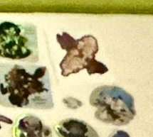 Quezeel's tweet photo. @FFXIV_Minda i see my small little guy. Love that he is close to the namazu stickers, it's where he belongs 🐟 https://t.co/Yc4JUDlXxd
