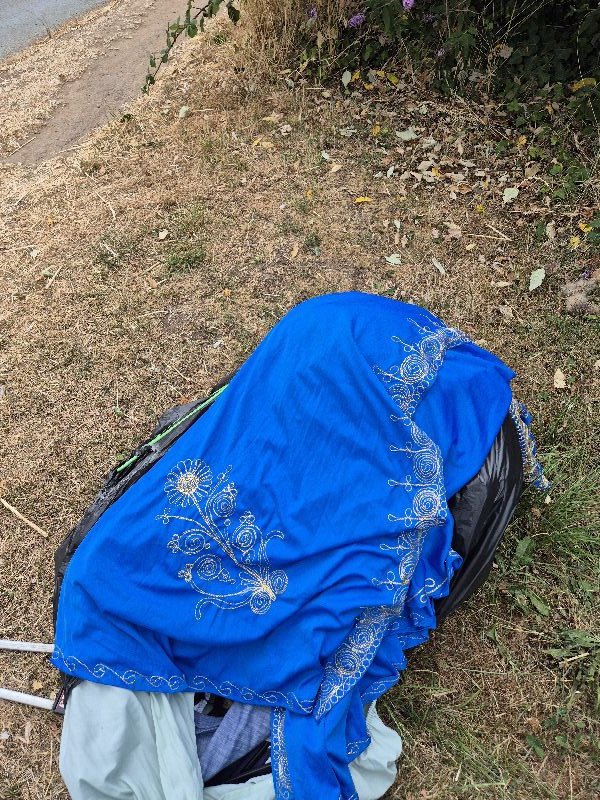 BBullrushes's tweet photo. Someone had a wardrobe clear out last week, so it was a shame they dumped the clothes, coathangers &amp; empty boxes into the hedgerow. 5 bags filled &amp; we removed the last A frame &amp; sandbags for collection + some sharp car panels. #NotABin #Derby @LitterReporting #LoveWhereYouLive https://t.co/17PS9Uo46s