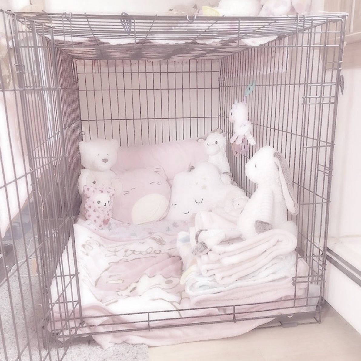 whinyebony's tweet photo. every pet girl needs her cage ㅤ♡
#petplay #catgirl #puppy #bunny https://t.co/acj9g690W4