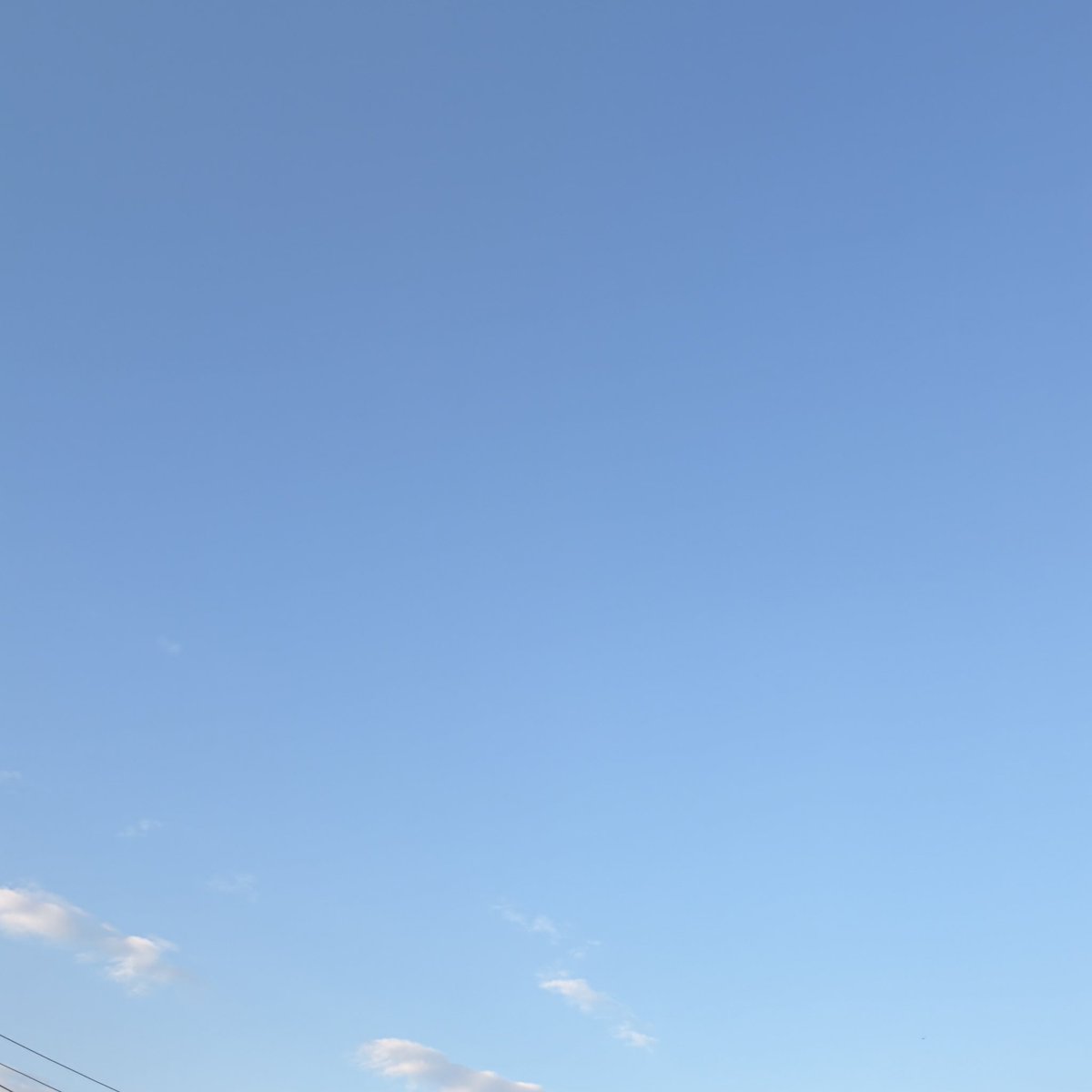 fiftystormken76's tweet photo. おはようございます。
7月も残り2日。
仕事は月末で何かとバタついてます頑張っていきます。
今日は胸トレの日。
これから行ってきます！ https://t.co/7P5cOTCRLq