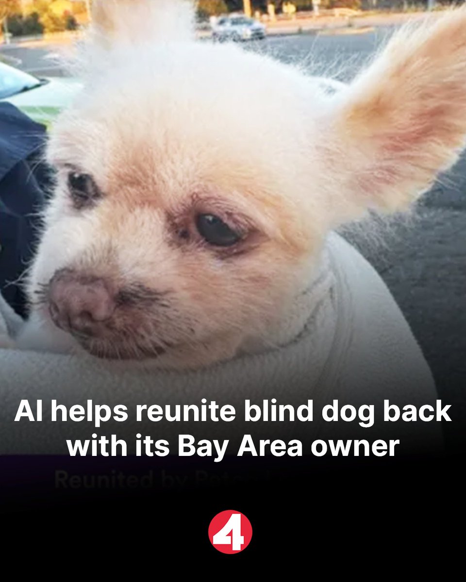 kron4news's tweet photo. A blind and hard-of-hearing dog was reunited with her owner less than 24 hours after going missing -- thanks to an AI photo-matching tool.

STORY: https://t.co/jSSAyt839v https://t.co/eKkg4j8yUz