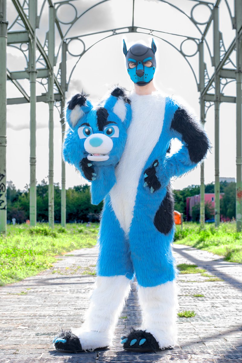 PuppyXanatos's tweet photo. 🩵🩷 Light blue and pink were the last two.  🩷🩵 https://t.co/L92itpaJjO