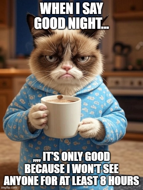 FlissZak's tweet photo. And on that note, Grumpy Cat, good night everyone. Sleep well.
#WritingCommunity #poetrycommunity #readingcommunity #GrumpyCat #Good https://t.co/lsAn63brav