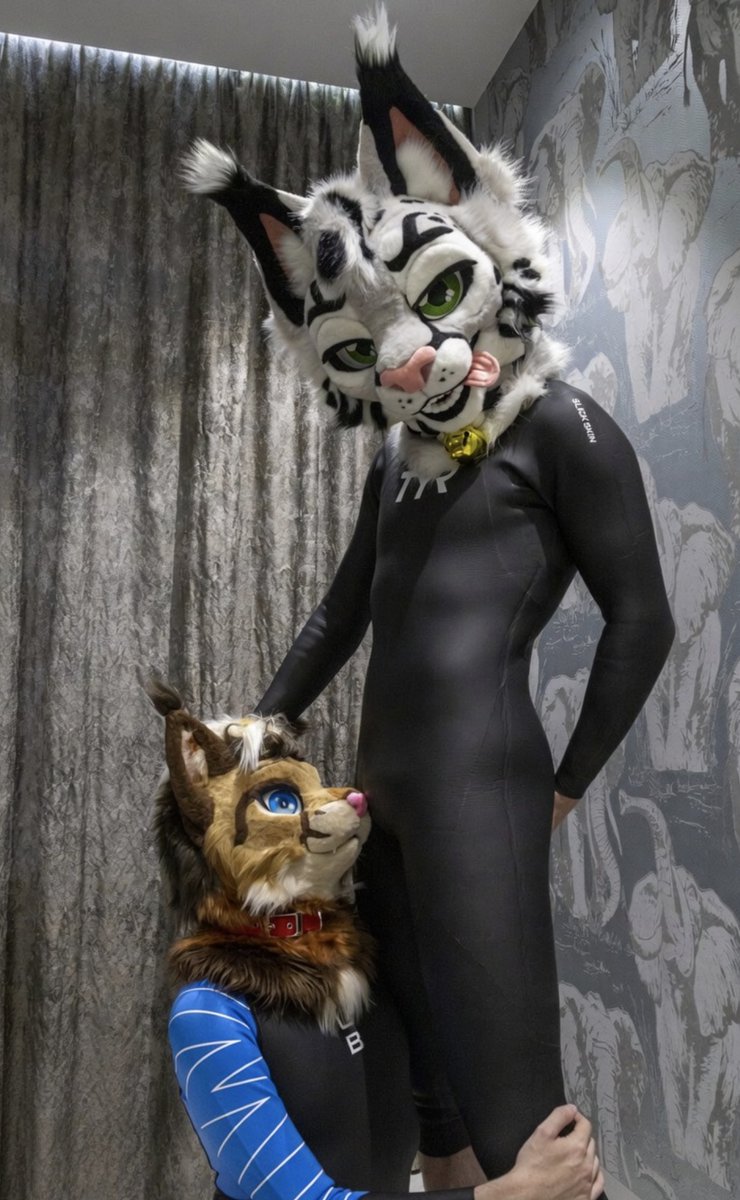 tuftedkpawzzz's tweet photo. What an obedient kitty~ 

#wetsuitwednesday https://t.co/3nRNuWNzlj