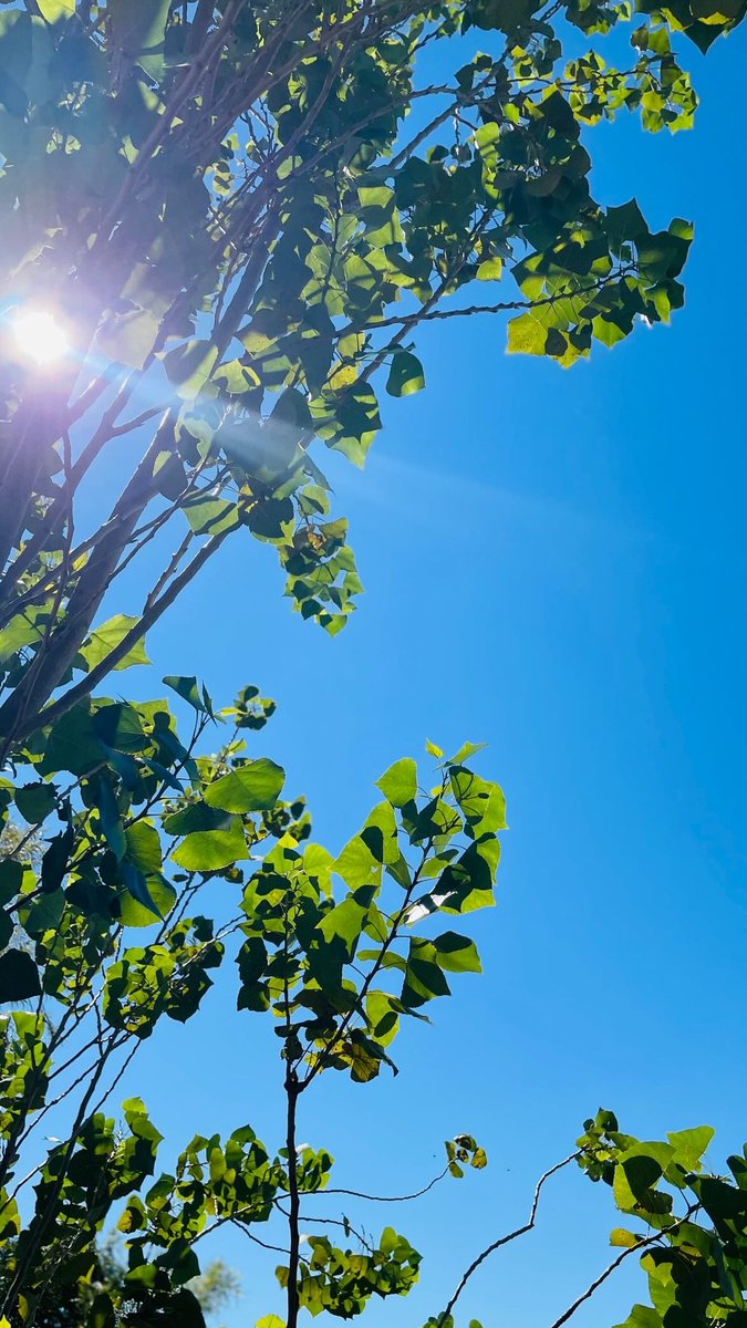 Alyxandreh's tweet photo. Na academia com o look azul, ouvindo Anitta - azul, nesse céu azul, e detalhe com o perfume azul. 💙
Deixa ele com as coisinhas dele 🤣 https://t.co/e8yqmDhzUF