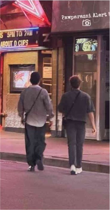 HudsonsRaccoon's tweet photo. Hudcon and their matching purses https://t.co/VmDknFsGbh