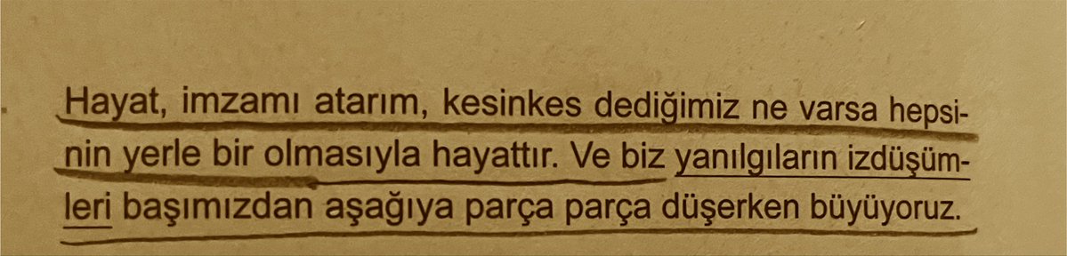 Eylemkitir's tweet photo. Nefis. https://t.co/9DuXwPChaN