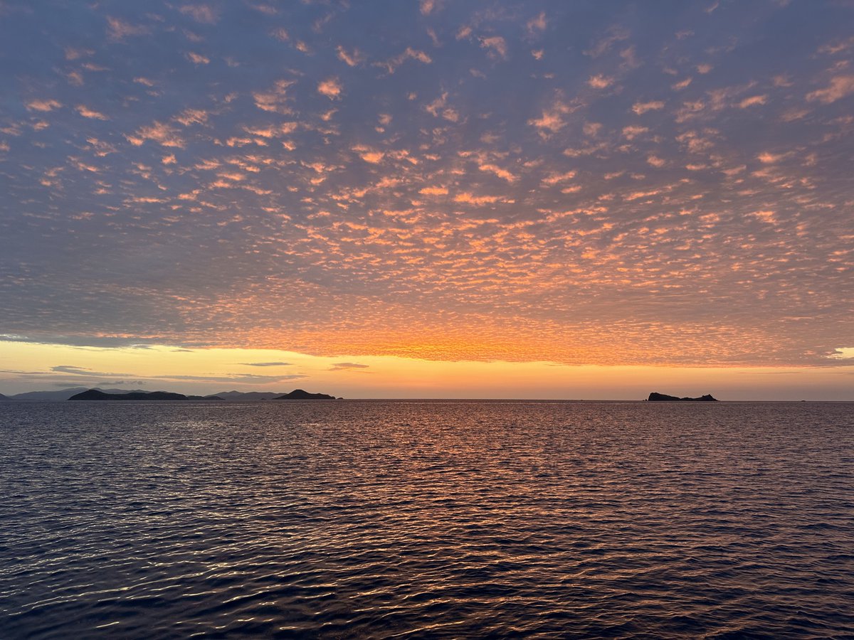 _PJAnderson's tweet photo. Golden Hour https://t.co/1E5MaifPRX