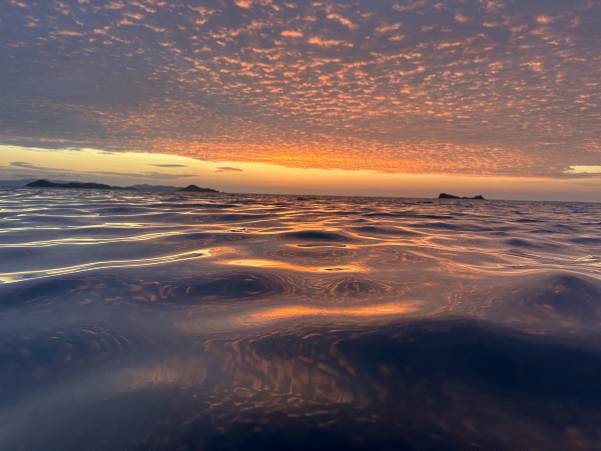 _PJAnderson's tweet photo. Golden Hour https://t.co/1E5MaifPRX