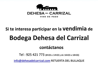 AMenasalbas's tweet photo. DEHESA DEL CARRIZAL VINO DE PAGO
Si te interesa participar en la vendimia de Bodega Dehesa del Carrizal

contáctanos
Tel : 925 421 773 (8h00 a 14h00 y de 16h00 a 18h00)
info@dehesadelcarrizal.com 
RETUERTA DEL BULLAQUE https://t.co/cc1dET54Rb