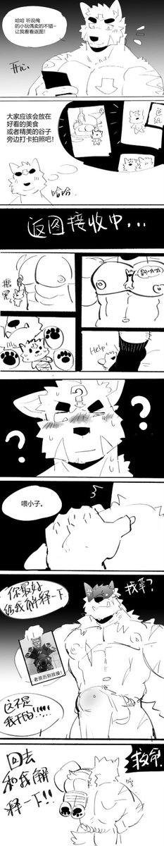 ARun_six's tweet photo. 小箭头狗🐕 https://t.co/cCIw7W1tTO