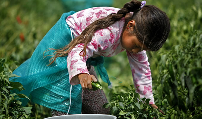 GanaderiayAgro's tweet photo. Para cambiar el mundo, debemos ser buenos con aquellos que necesitan ayuda. https://t.co/MSyA996Zvd