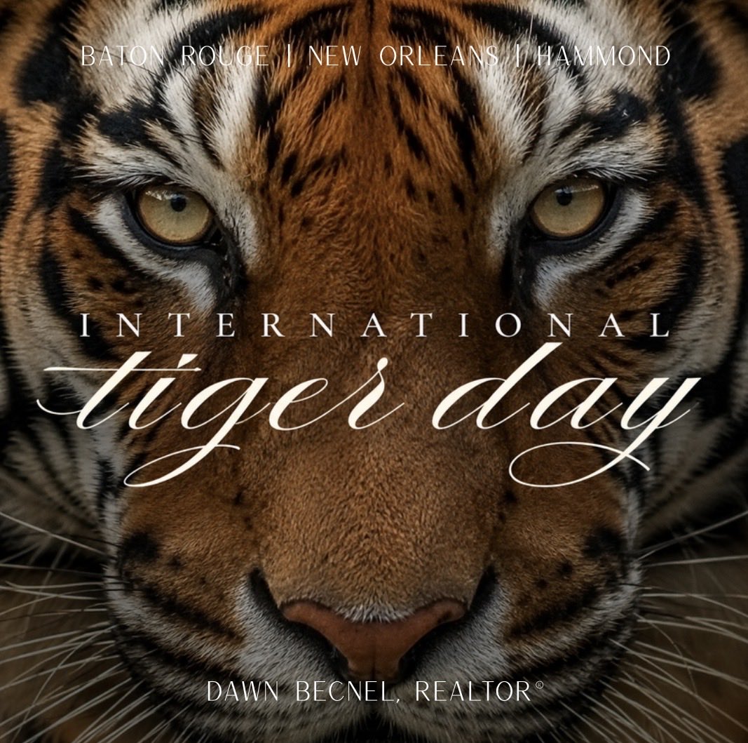 SoldByDawn225's tweet photo. 🎉 38 Days until the FIRST #LSUFootball game of the 2026 Season! 🏈 

Let’s #GeauxTigers! 

⚜️Your Baton Rouge Real Estate Agent,
Dawn Becnel

“Dawn Perry -> Dawn Becnel!”
https://t.co/yTzSKzbkNT

#InternationalTigerDay #RealEstate #BatonRouge https://t.co/xKX4GIcZ2i