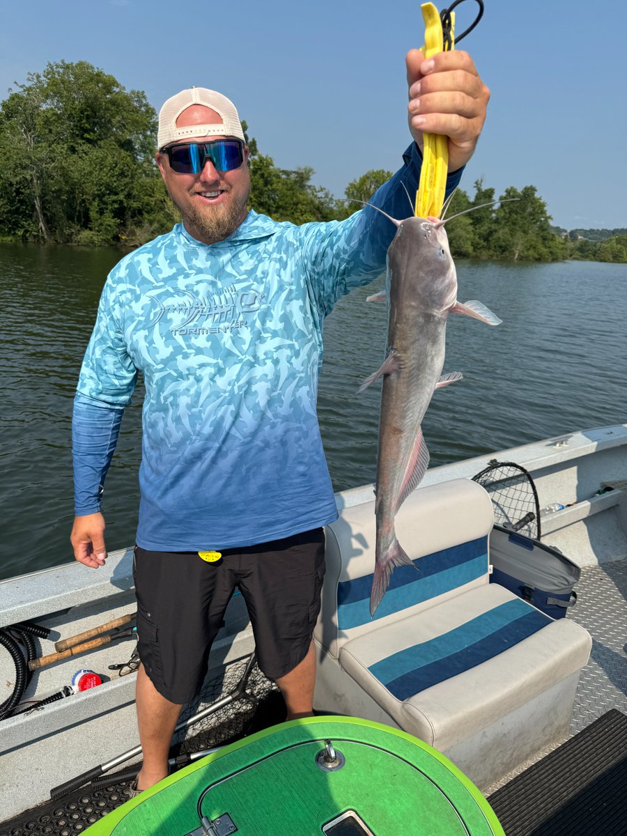 Capt_Billy_TN's tweet photo. Against the odds today we managed to boat several Blue Catfish. One was the biggest catfish my guest had ever caught! Hopefully this hot weather will break soon and things start cooling down, which will fire up the Catfish! #guidelife https://t.co/5eaJ13LwIc