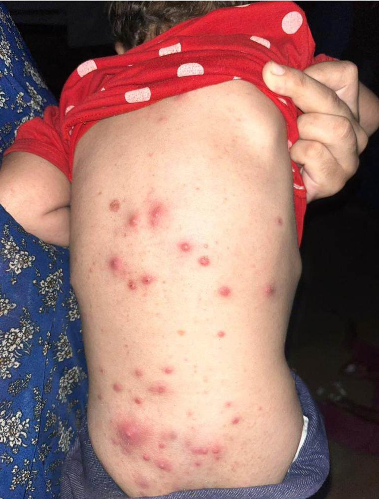 yousefQasem1998's tweet photo. Yes, I am sick and dying. 

Yes, I am sick and dying. 

Yes, I am sick and dying. 

Yes, I am sick and dying. 

Yes, I am sick and dying. 

Yes, I am sick and dying. 
https://t.co/45Gj0rqgZU https://t.co/ZSYmyuisno